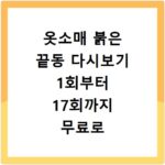 옷소매 붉은 끝동 다시보기 1회부터 17회까지 무료로 보는 법