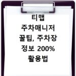 티맵 주차매니저 꿀팁, 주차장 정보 200% 활용법 공개