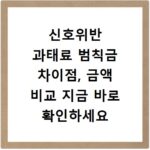 신호위반 과태료 범칙금 차이점, 금액 비교 지금 바로 확인하세요