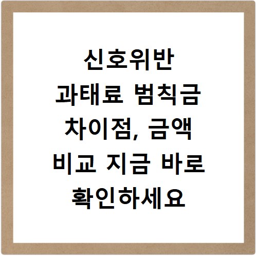 신호위반 과태료 범칙금 차이점, 금액 비교 지금 바로 확인하세요