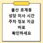 울산 호계동 성당 미사 시간 주차 정보 지금 바로 확인하세요