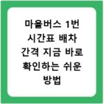 마을버스 1번 시간표 배차 간격 지금 바로 확인하는 쉬운 방법