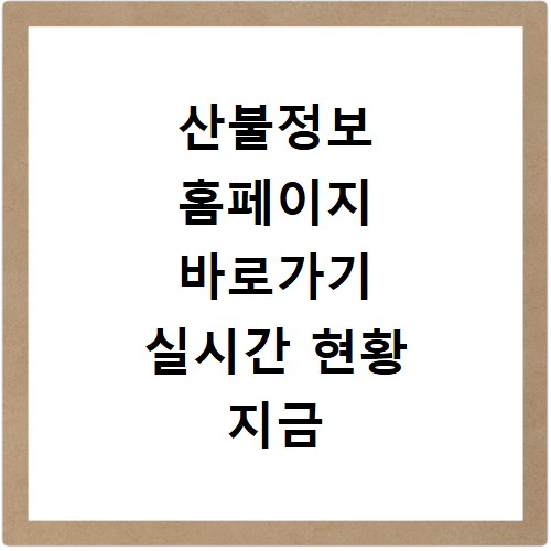 산불정보 홈페이지 바로가기 실시간 현황 지금 바로 확인하세요
