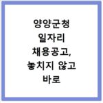 양양군청 일자리 채용공고, 놓치지 않고 바로 확인하는 법