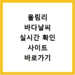 율림리 바다날씨 실시간 확인 사이트 바로가기 지금 바로 클릭