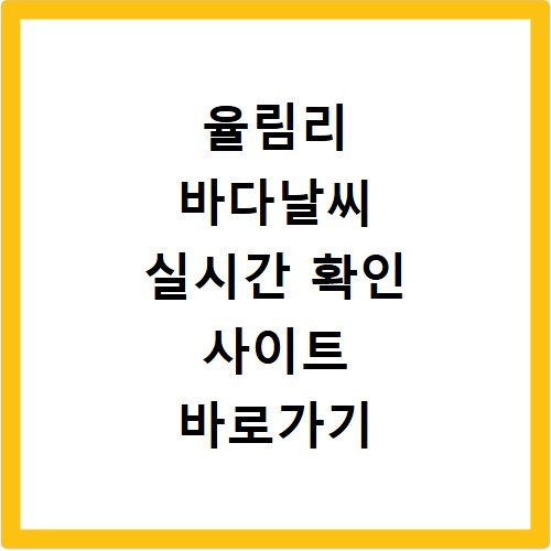 율림리 바다날씨 실시간 확인 사이트 바로가기 지금 바로 클릭