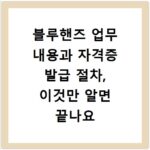 블루핸즈 업무 내용과 자격증 발급 절차, 이것만 알면 끝나요