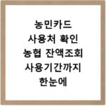 농민카드 사용처 확인 농협 잔액조회 사용기간까지 한눈에