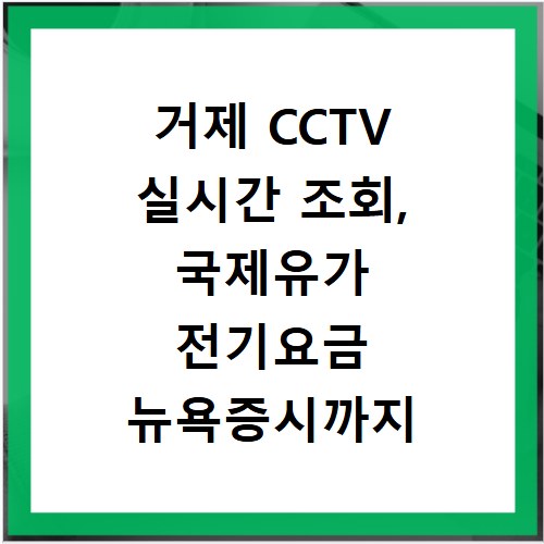 거제 CCTV 실시간 조회, 국제유가 전기요금 뉴욕증시까지 한눈에