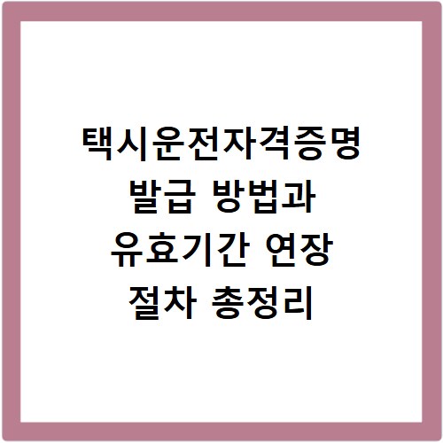 택시운전자격증명 발급 방법과 유효기간 연장 절차 총정리