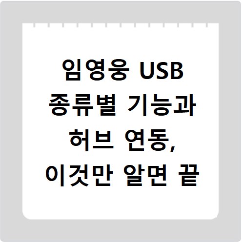 임영웅 USB 종류별 기능과 허브 연동, 이것만 알면 끝
