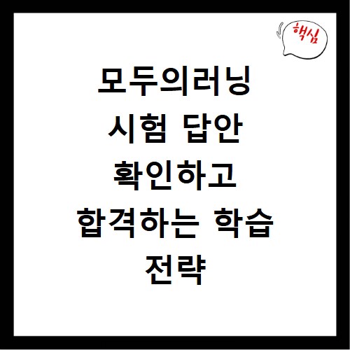 모두의러닝 시험 답안 확인하고 합격하는 학습 전략 비법