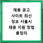 채용 공고 사이트 최신 정보 서울시 채용 지원 방법 총정리