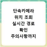 단속카메라 위치 조회 실시간 경로 확인 주의사항까지 한눈에