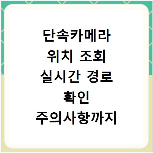 단속카메라 위치 조회 실시간 경로 확인 주의사항까지 한눈에