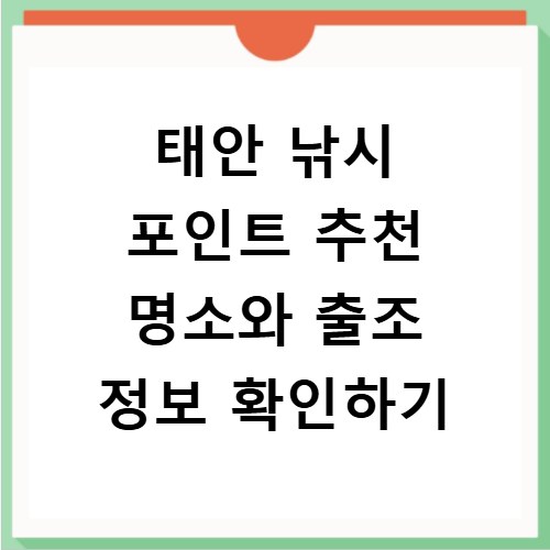 태안 낚시 포인트 추천 명소와 출조 정보 확인하기