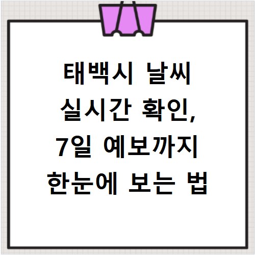 태백시 날씨 실시간 확인, 7일 예보까지 한눈에 보는 법
