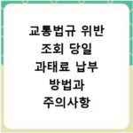 교통법규 위반 조회 당일 과태료 납부 방법과 주의사항 확인
