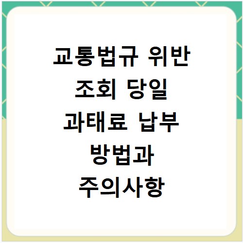 교통법규 위반 조회 당일 과태료 납부 방법과 주의사항 확인