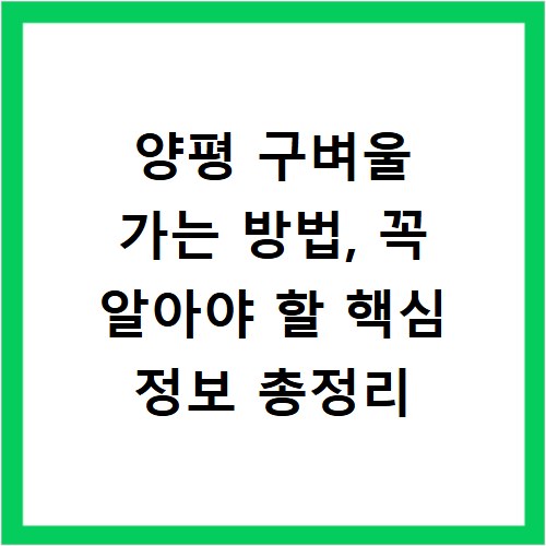 양평 구벼울 가는 방법, 꼭 알아야 할 핵심 정보 총정리