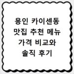 용인 카이센동 맛집 추천 메뉴 가격 비교와 솔직 후기